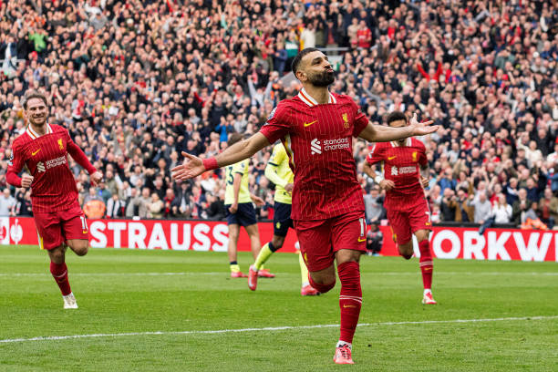 仅展现了她 仅展现了她