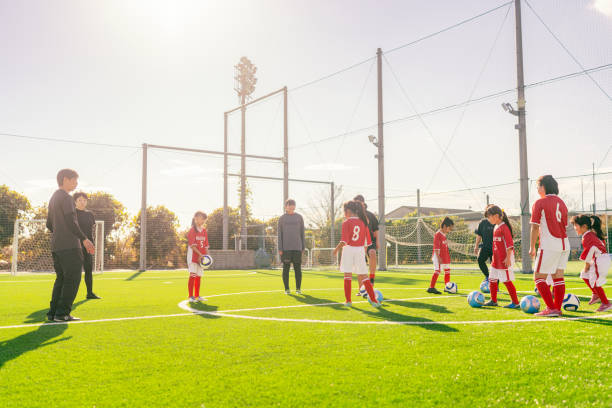 逐渐被纳入 逐渐被纳入